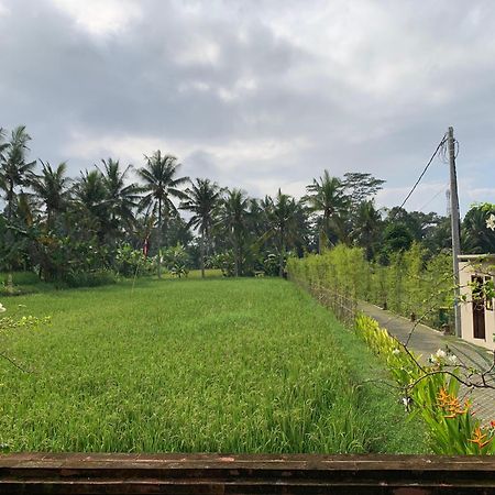 Adi Laxmi Villa Ubud Esterno foto