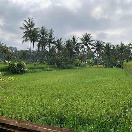Adi Laxmi Villa Ubud Esterno foto