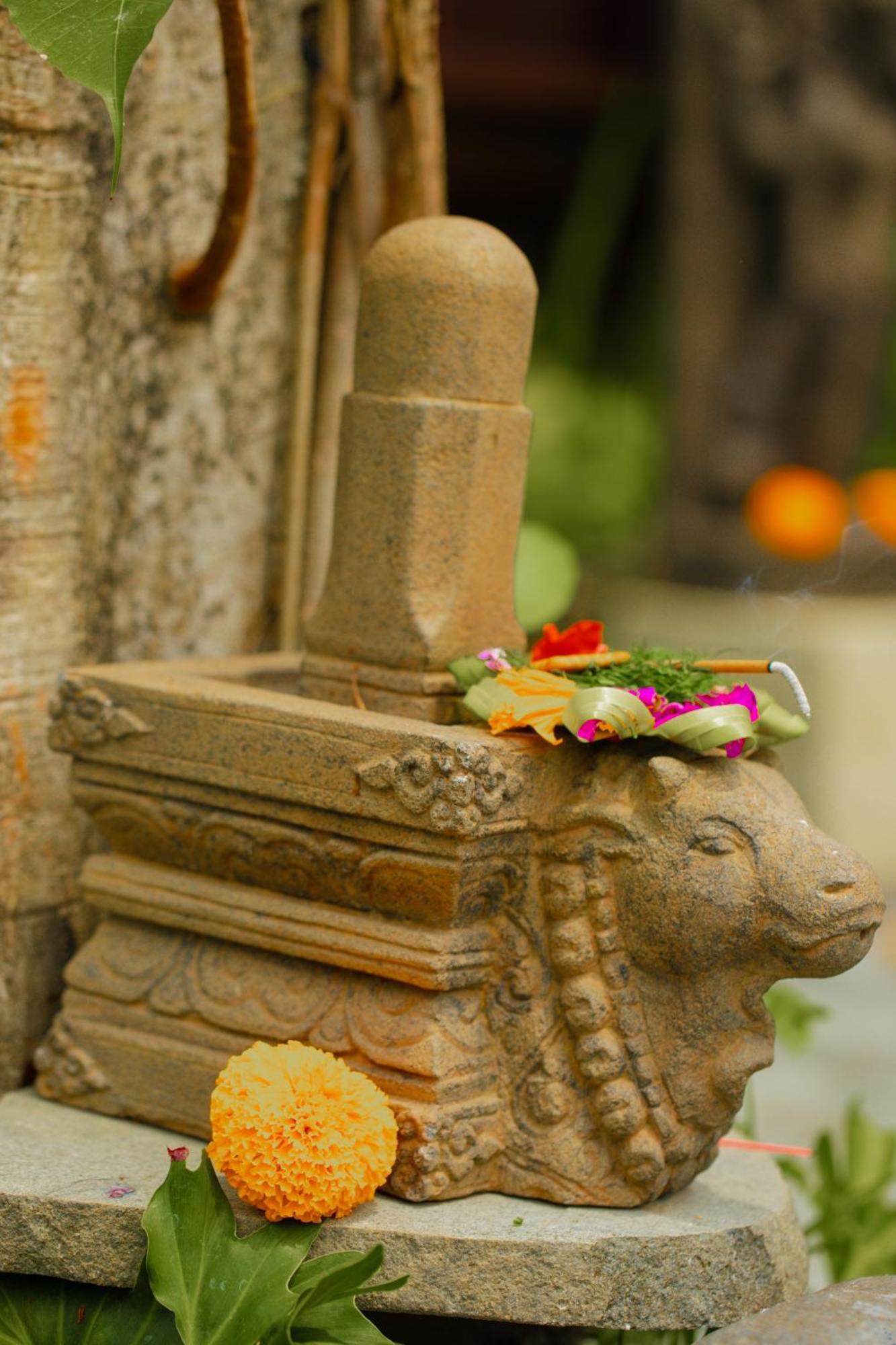 Adi Laxmi Villa Ubud Esterno foto