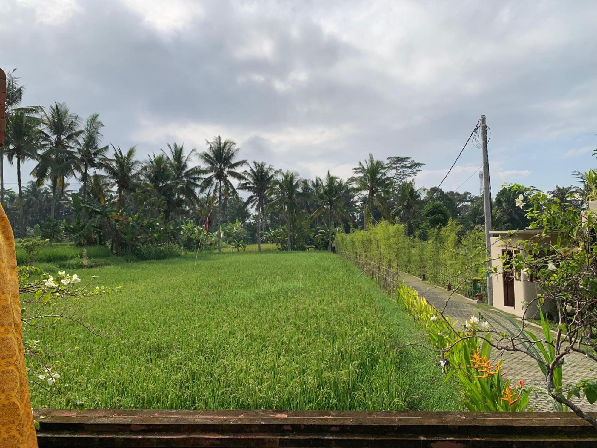 Adi Laxmi Villa Ubud Esterno foto
